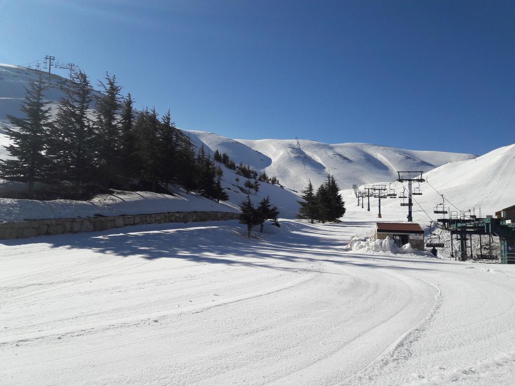 L'Escale Du Mzaar Apartment Faraya Exterior photo